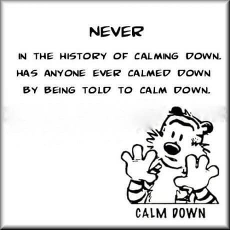 Never in the history of calming down Calvin and Hobbes