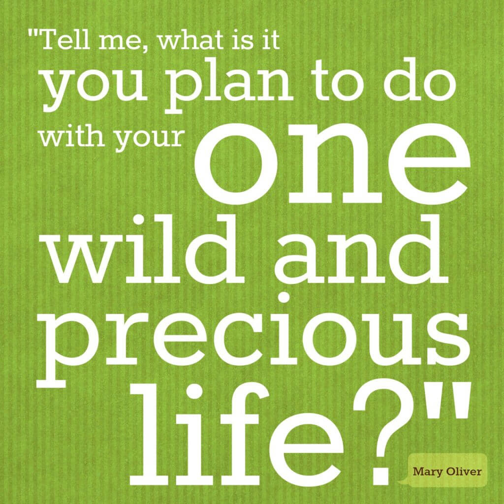 "Tell me what is it you plan to do with your one wild and precious life?" ~ Mary Oliver