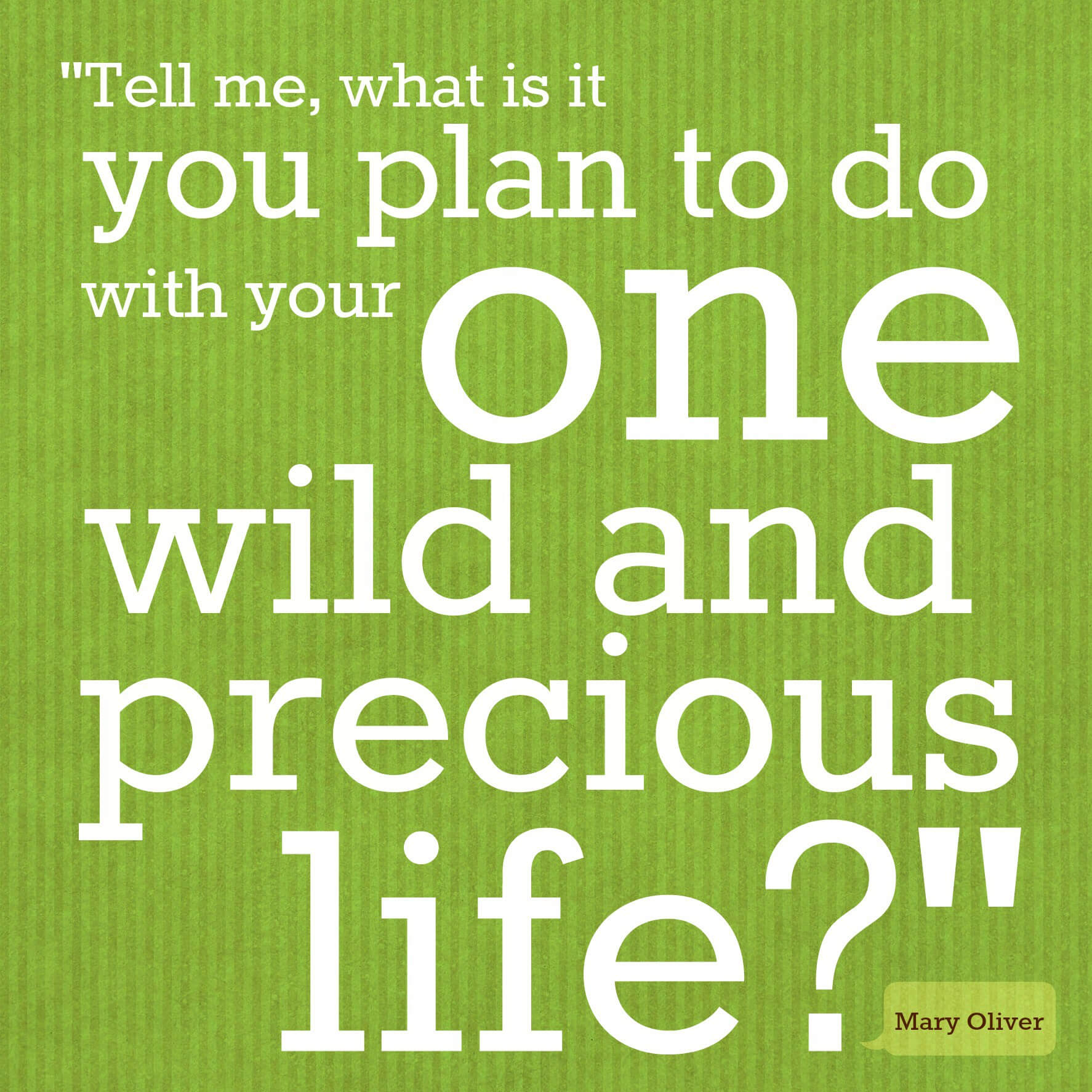 Life is Wild and Precious, Be Present