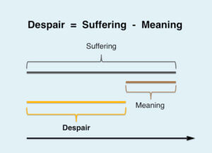 EMO Despair is suffering minus meaning