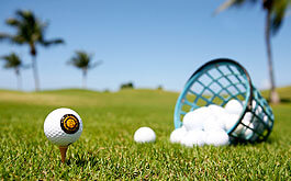 golf 265x165-basket-balls