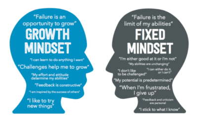 Do you have a Growth Mindset?