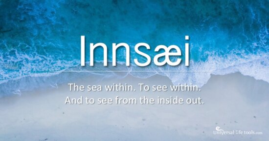 InnSaei – to see from the Inside Out