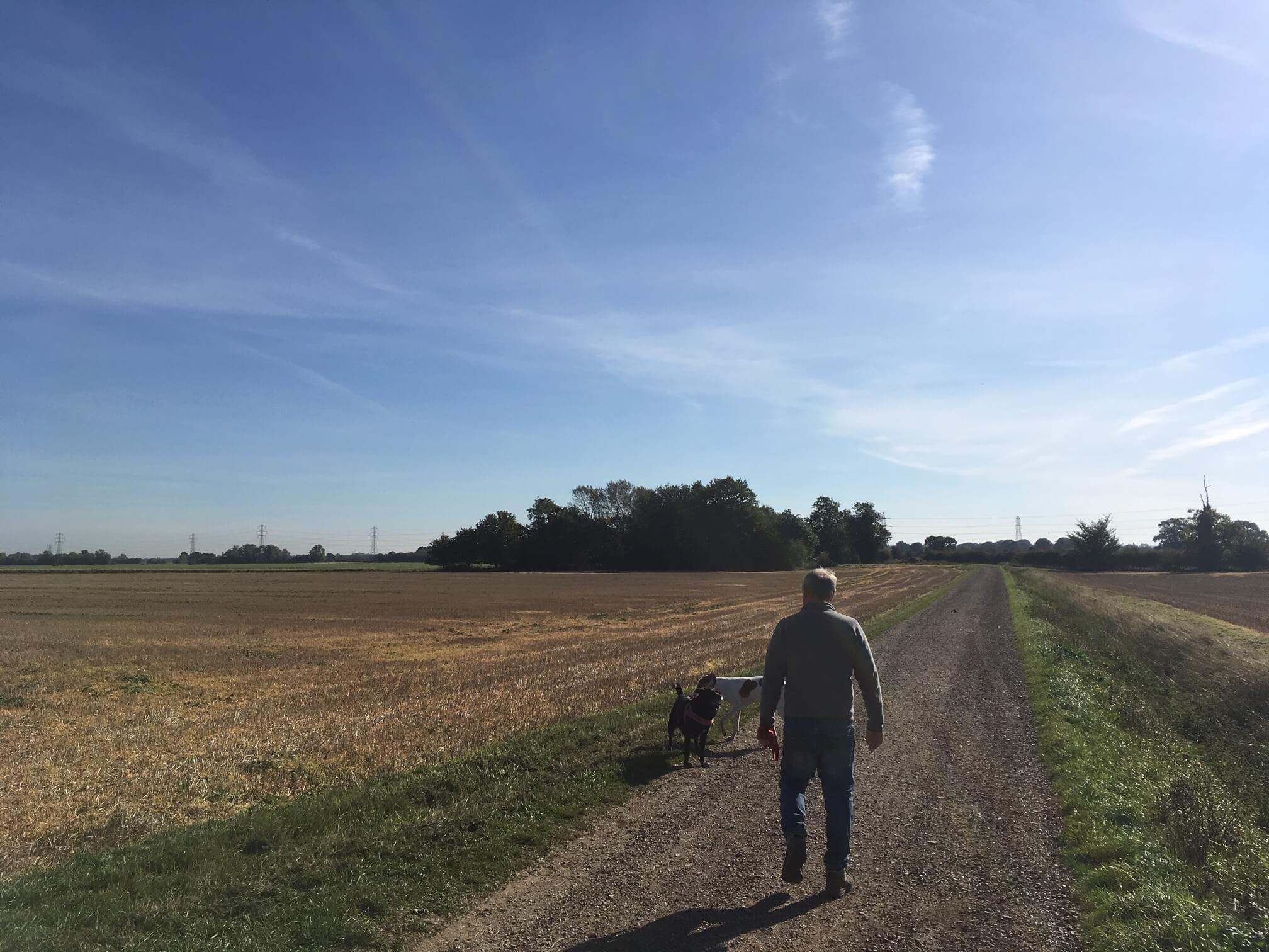 Slowing down – walking the dog