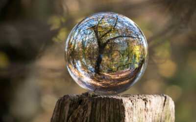 What does your Crystal Ball tell you about preparing for 2023 and beyond?