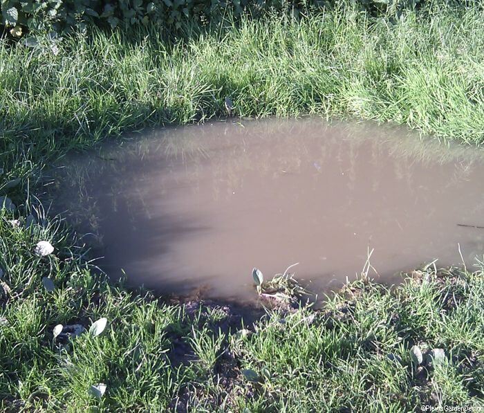 How would you cross the muddy pond?
