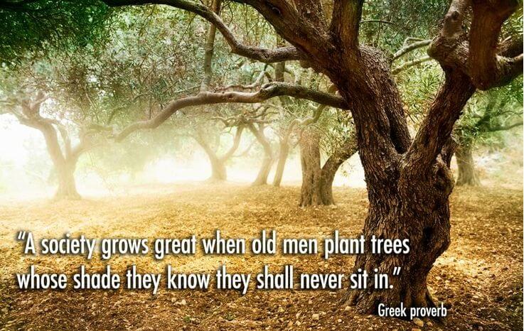 Planting trees you will never see