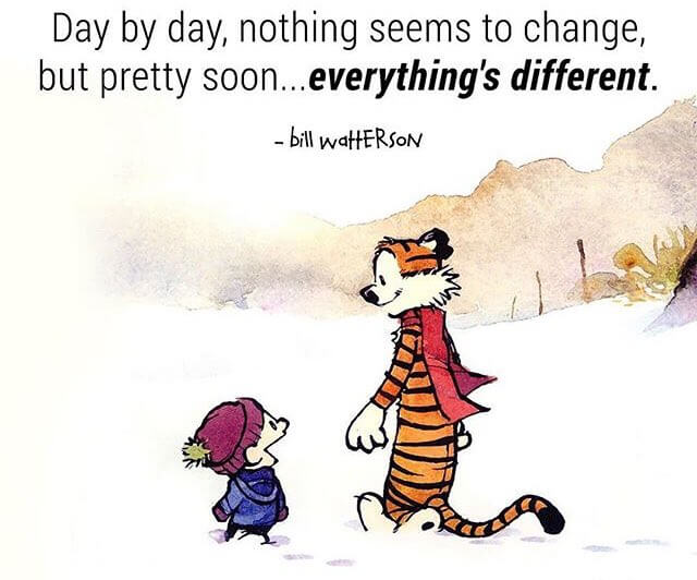 calvin hobbes day by day