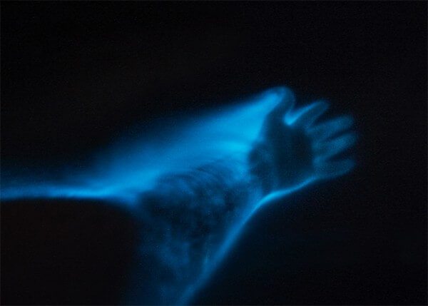 bioluminescence cayman