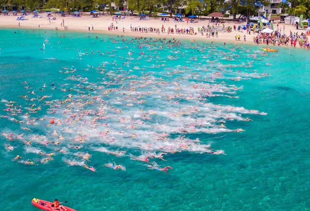 world-class open water swim race
