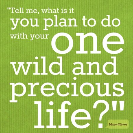 Tell me what is it you plan to do with your one wild and precious life? Mary Oliver