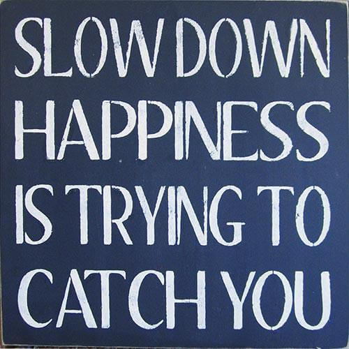 Slow down. Happiness is trying to catch you.