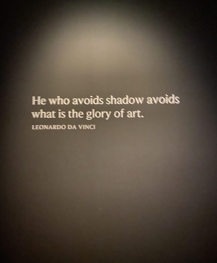 "He who avoids shadow avoids what is the glory of art" ~ Leonardo Da Vinci