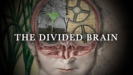 Divided Brain