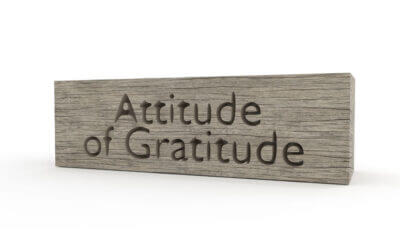 Adopt an attitude of gratitude