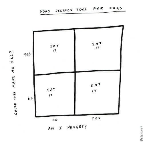 Food decision tool for dogs.