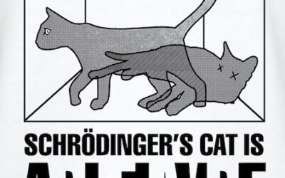 Coaching and Schrödinger’s Cat