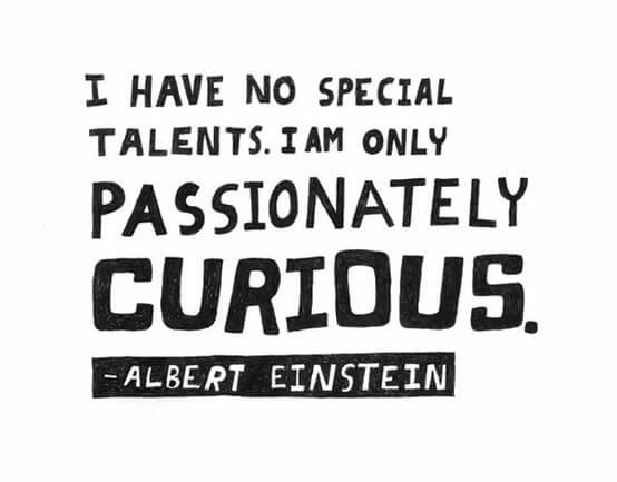 passionately curious: Different forms of intelligence