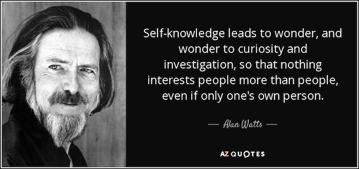Alan Watts Quote