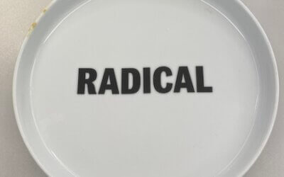 Is it time for me to be radical and stop or change this blog?