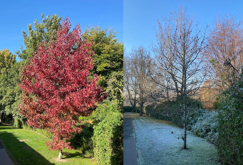Noticing the change of seasons